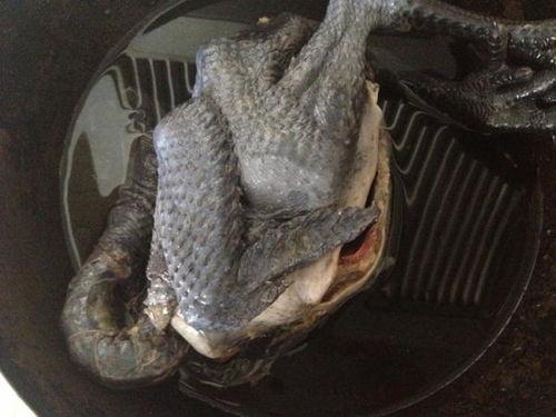 黑鸡网漂料,揭秘网络漂料背后的秘密与挑战